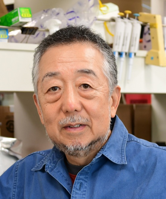 Prof. Takashi Fujita, Ph.D.