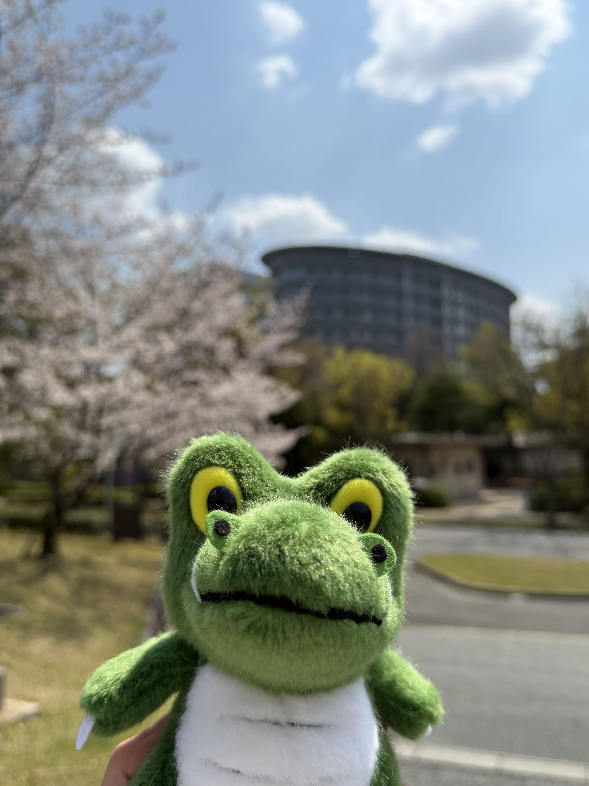 新しいメンバーをお迎えしました！